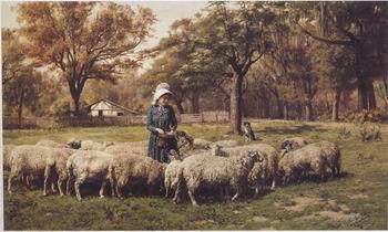 unknow artist Sheep 179